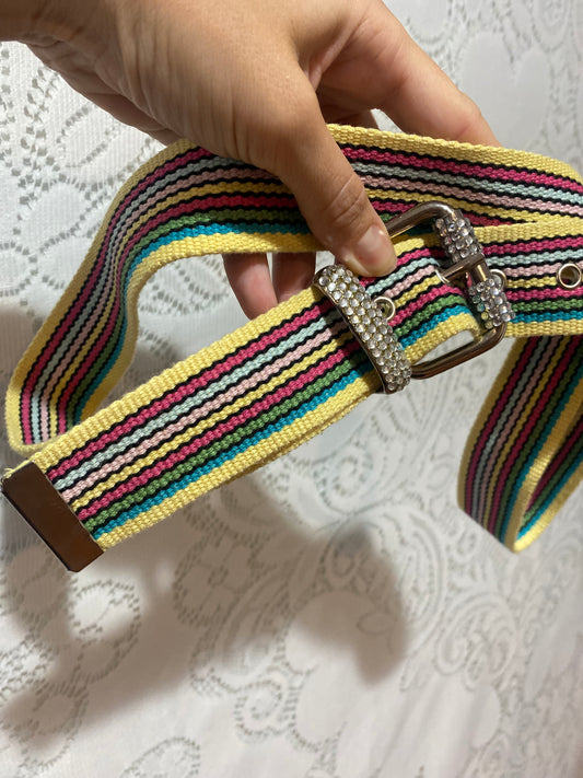 Y2K multicolor belt