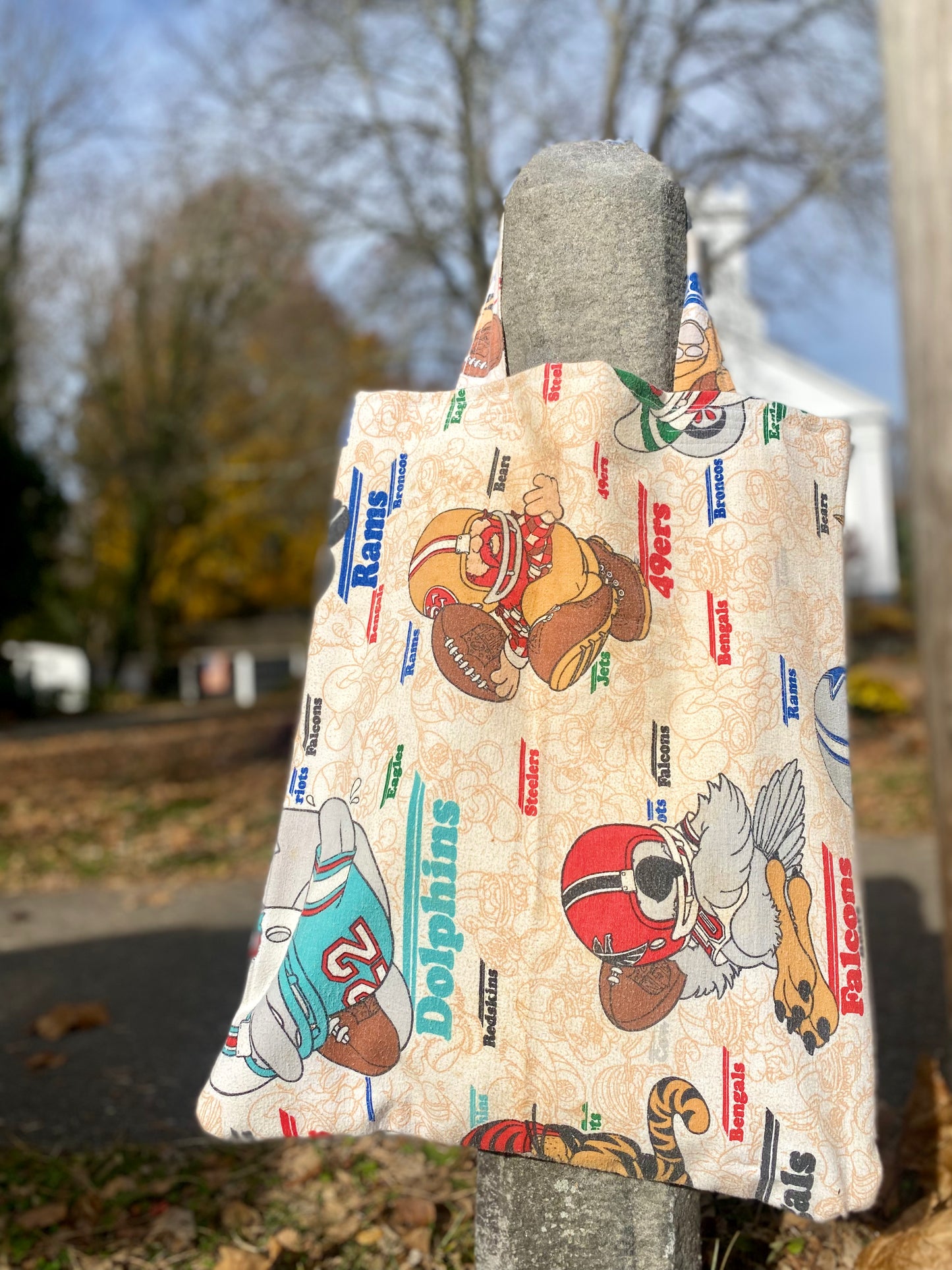 Football Pillow Tote