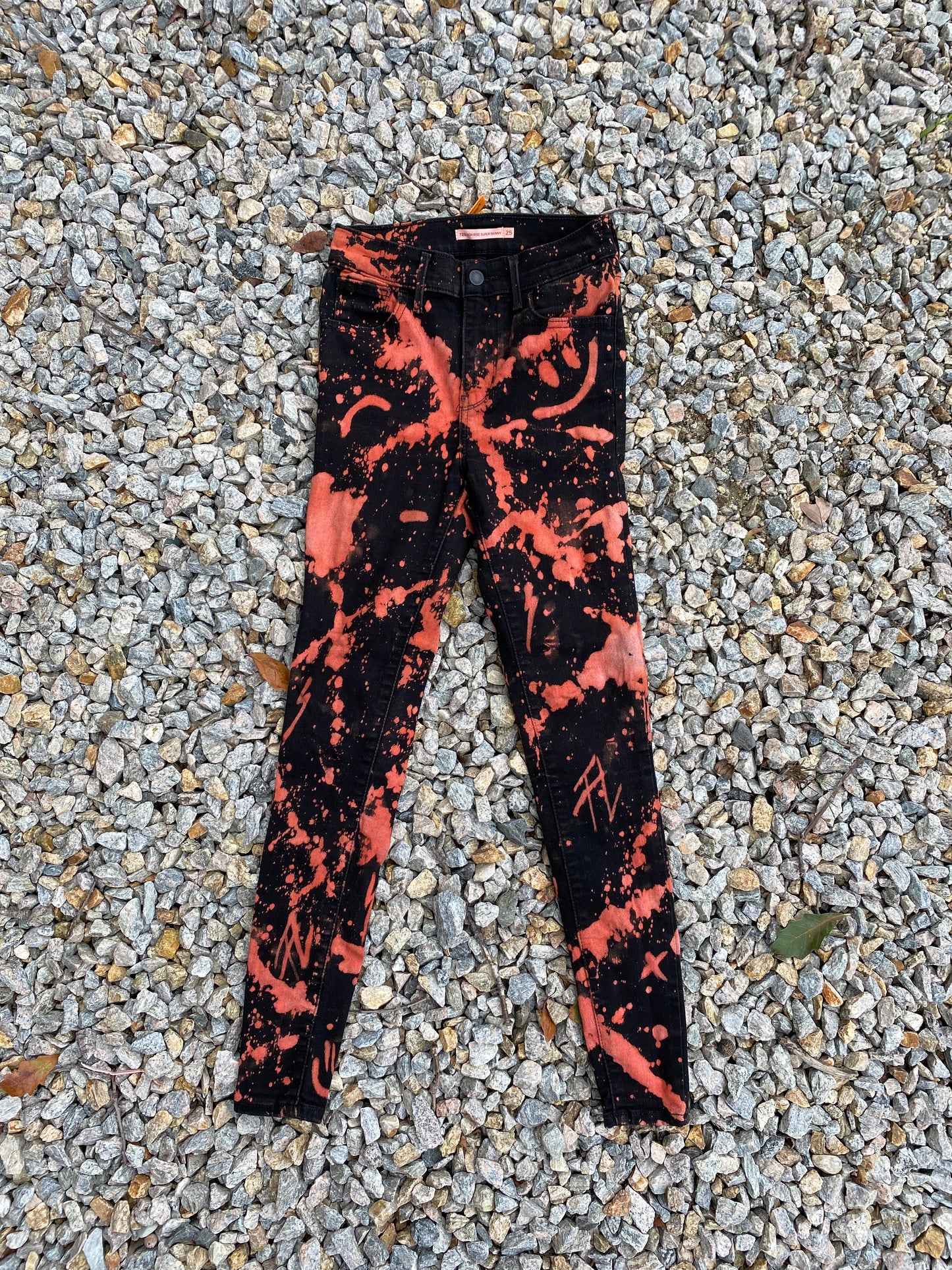 Aries 001