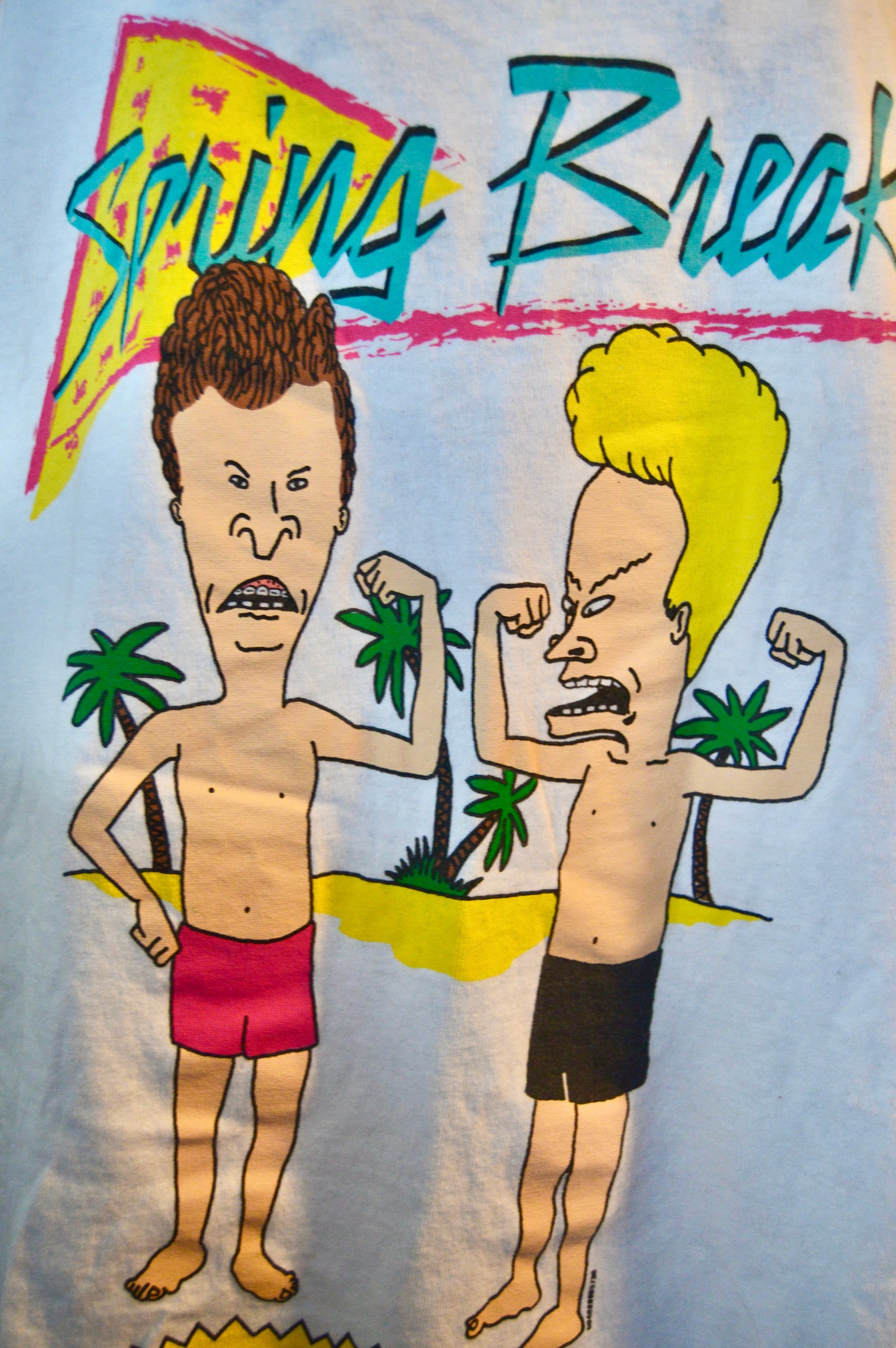 Beavis and Butthead Spring Break tee