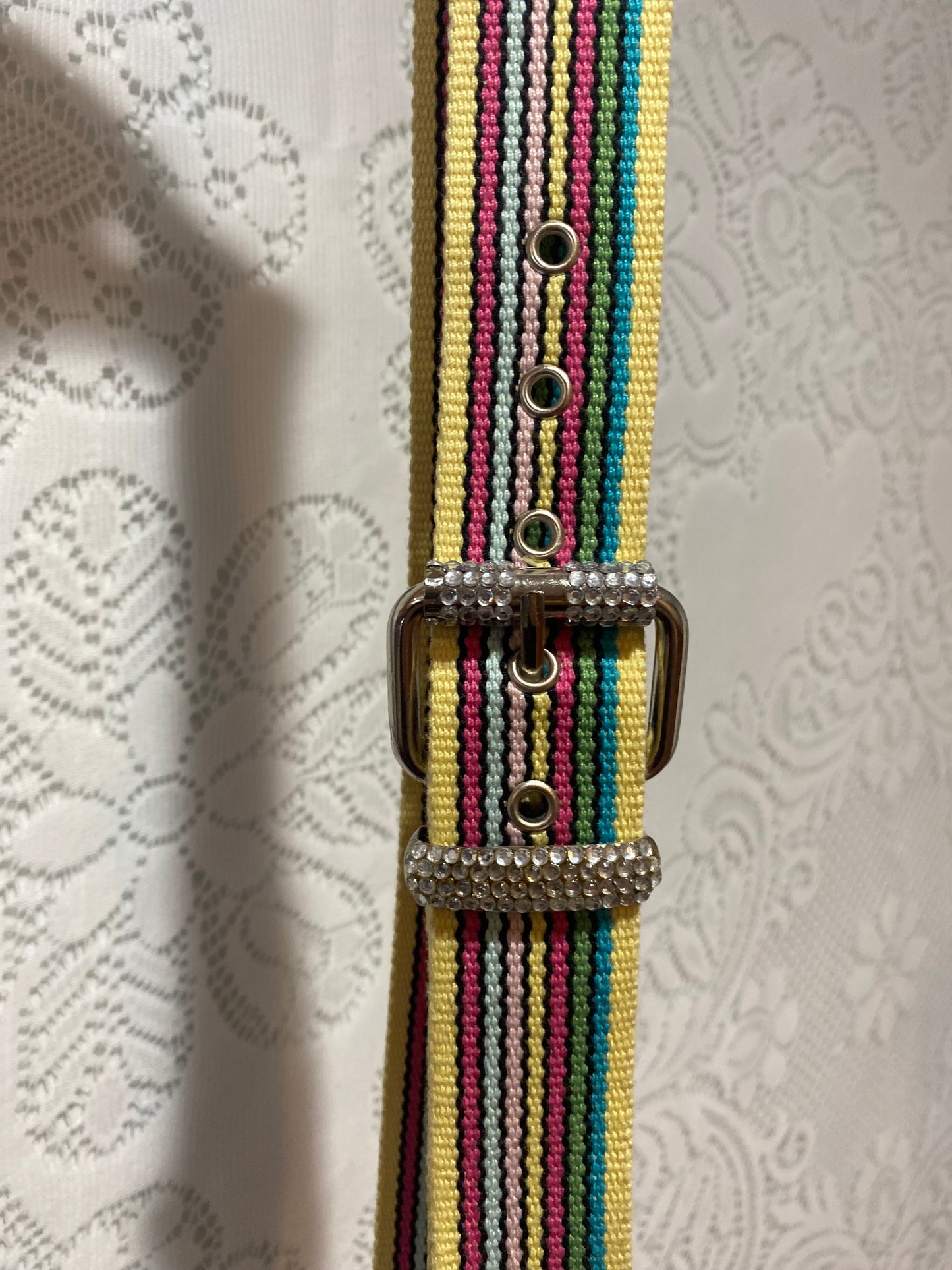 Y2K multicolor belt