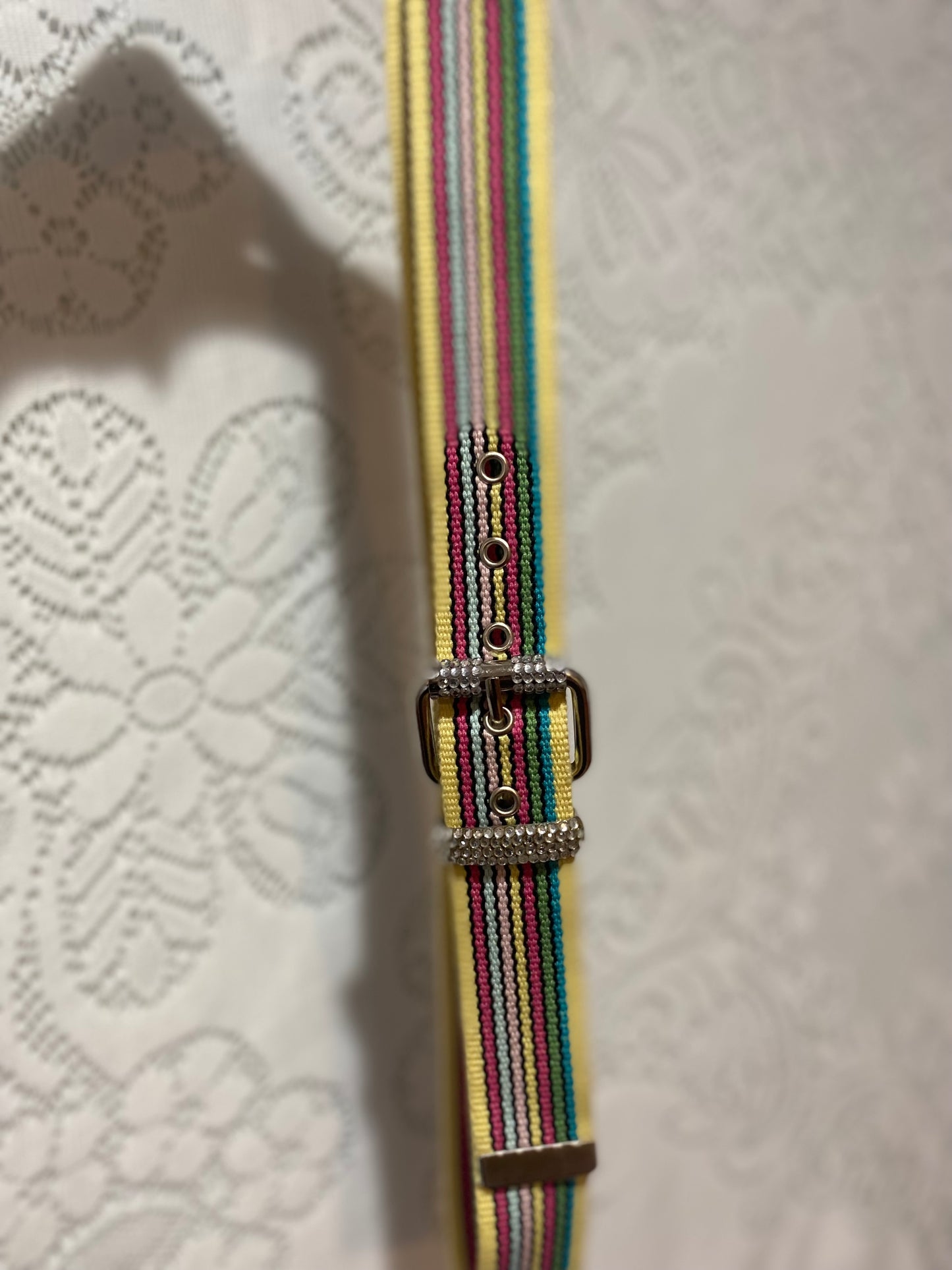 Y2K multicolor belt