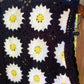 Lulla Collection Vintage vest