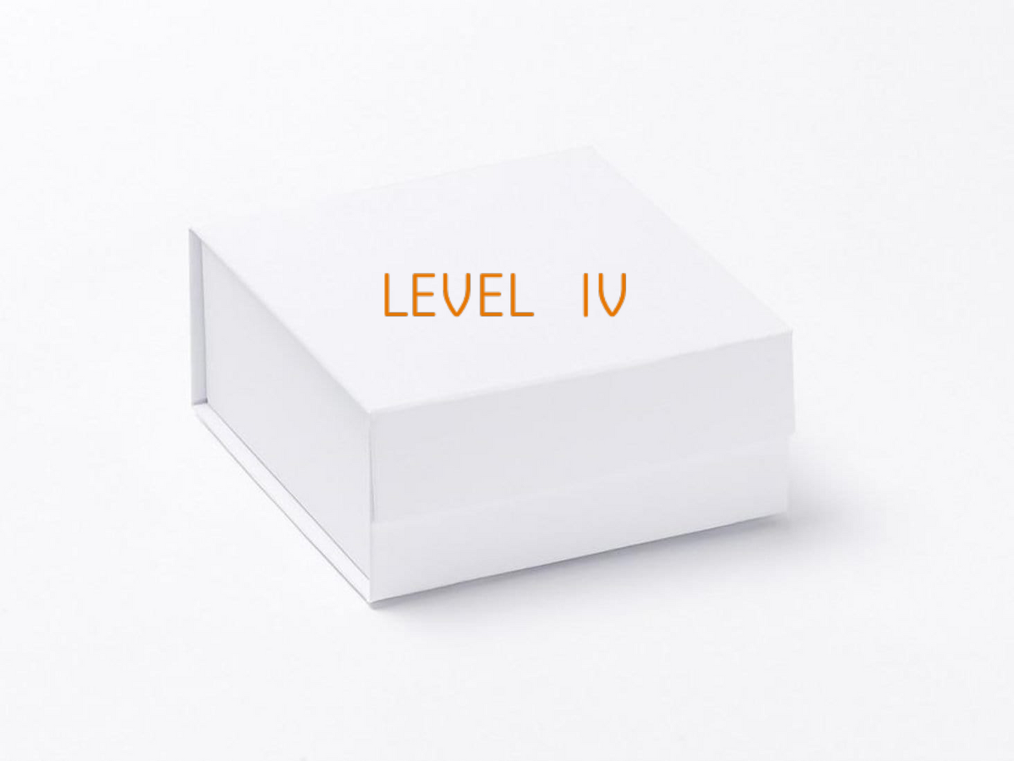 Fierce Box Level IV